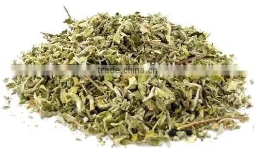 GMP Natural High Quality Damiana Extract/Damiana Leaf Extract/Damiana Leaf Extract Powder photo-4