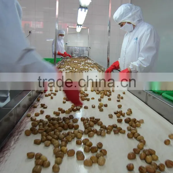 Peeled Roasted Chestnut's Kernels in Soft Canned photo-2