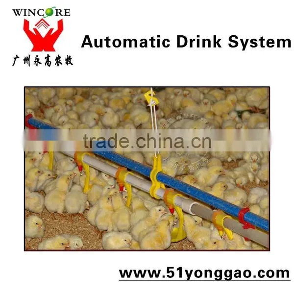 Drinkers for Chickens,automatic Drinker for Chicken photo-2