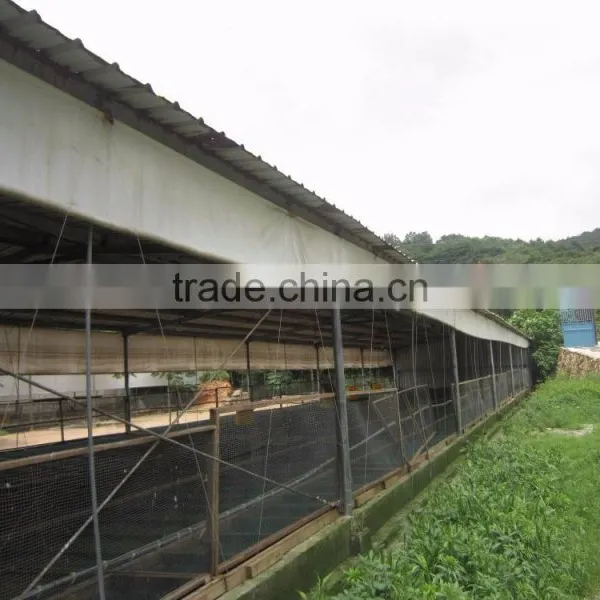 Eonomical Commercial Steel Frame Broiler Chicken House photo-5