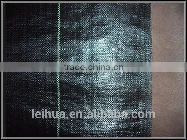 China pp Woven Fabric Roll for Geotextiles photo-3