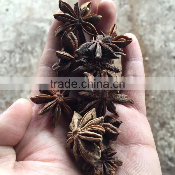 Natural Star Anise Crop 2016 photo-3