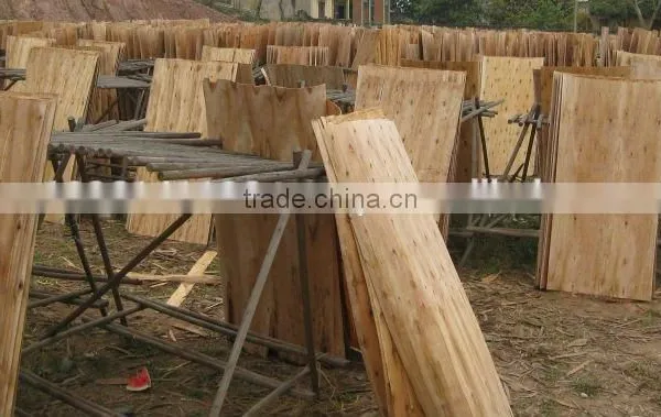 VIETNAM NEW SHORT CORE VENEER / MANUFACTURER IN VIETNAM photo-3