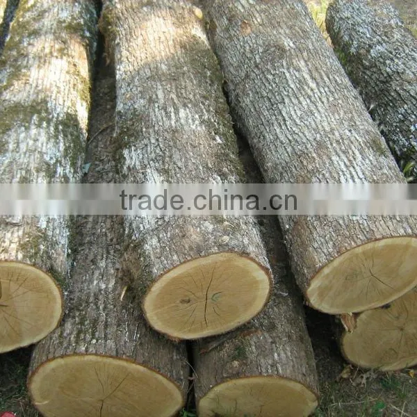 LOGS