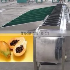 Automatic Fruit and Vegetable Washing Waxing and Grading Machine photo-2