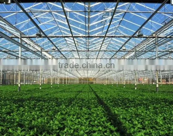 Chengdu BaoLiDa Low Price 20 Micron Polythene Greenhouse pe Film Greenhouse photo-5