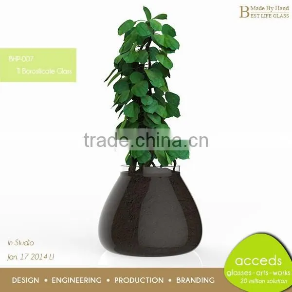 Clear Glass Hydroponic Pot photo-5