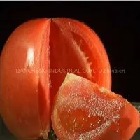 3000g Tomato Paste in Drum Package