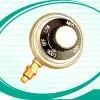 Gas Regulator for BBQ(01)