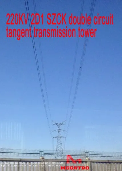 MEGATRO 220KV 2D1 SZCK Double Circuit Tangent Transmission Tower photo-2
