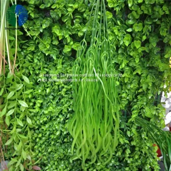 Newest Artificial Grass Green Wall for Decoration