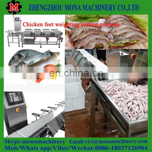 Factory Price Seafood Processing Line Prawn Grader Shrimp Washing Grading Machine Sorting Machine photo-5