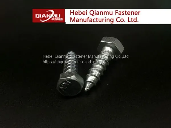 HEX HEAD LAG Wood Screw of Standard DIN571 Galvanized Wood Screw photo-4