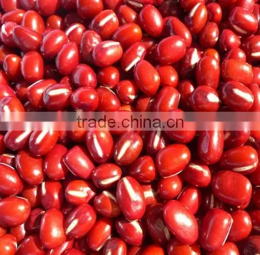 Organic Adzuki Bean photo-2
