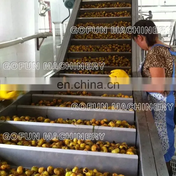 The Professional Supplier for Tomato Paste / Puree Production Line photo-2