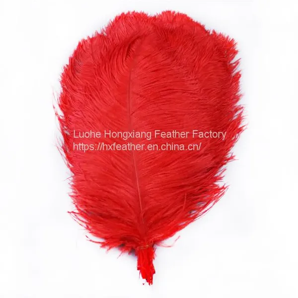 Natural 10-75cm Artificial Ostrich Feather for Party and Wedding Decoration photo-3