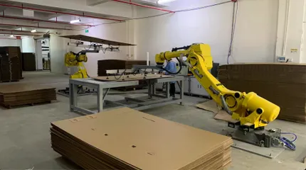 Packaging Robot photo-2