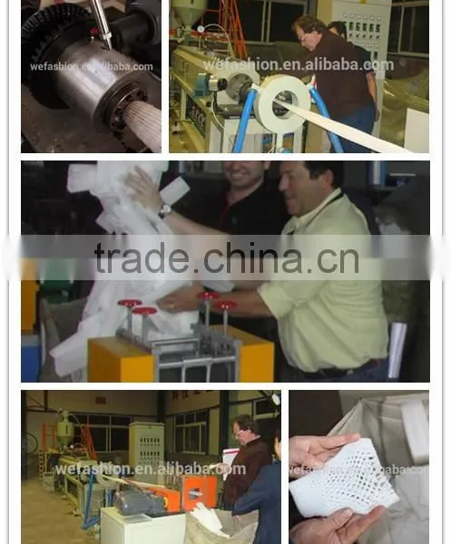 Plastic Machine EPE Foam Net Production Line photo-4