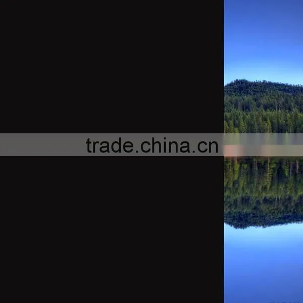 Factory Supply Hot Sale Adhesive Black Static Window Film photo-6
