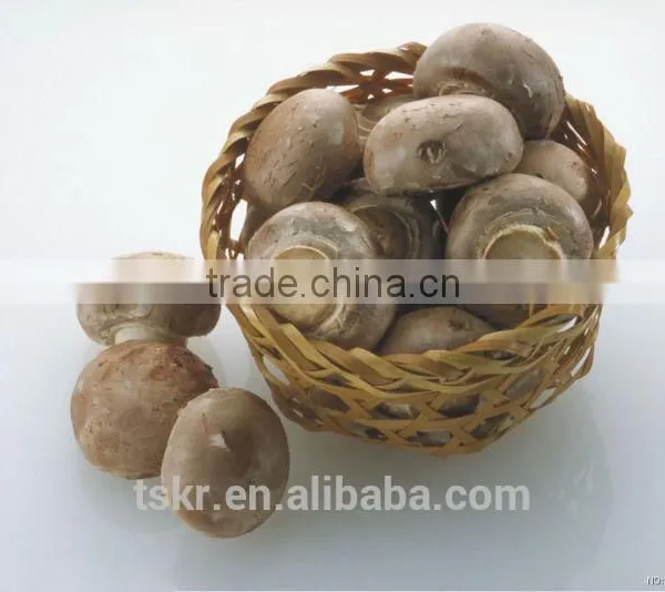 Fresh Shiitake Mushroom photo-3