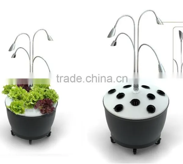 Dutch Hdroponics System With LED Grow Lights For Sale LED Lamp