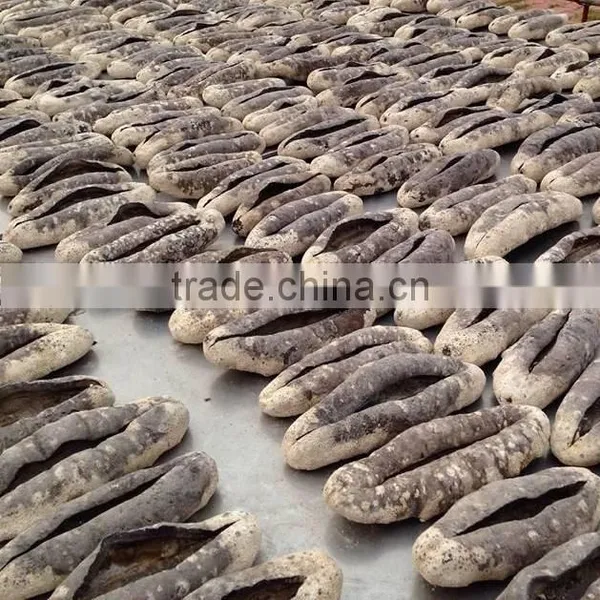Dried Sea Cucumber, White Teat Fish, Holothuria Fuscogilva photo-6