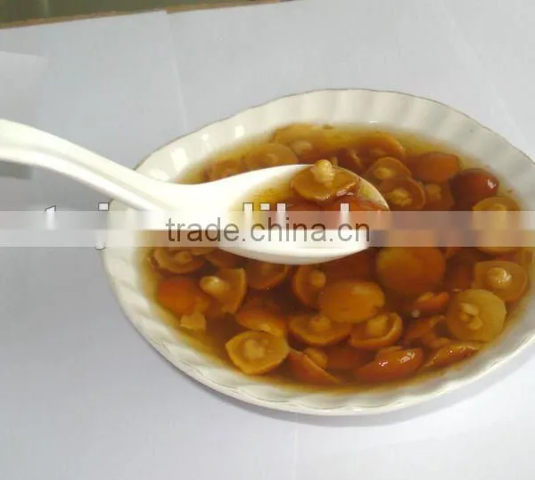Canned Nameko