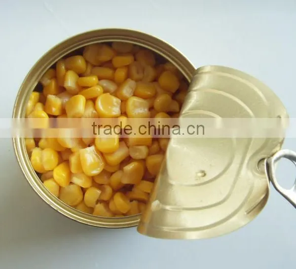 340g Canned Sweet Corn in Tin or Vacuum Packed Sweet Corn photo-2