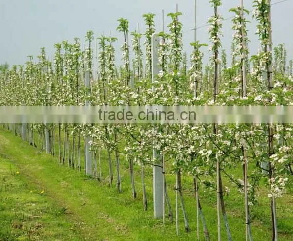 Fiberglass Rod, Fiberglass Stick FRP Rod,Solid Fiberglass Rod for Garden Use for Plants photo-2