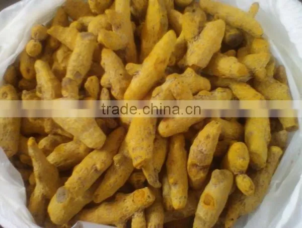 Excellent Grade & Quality Indian Turmeric Finger photo-6