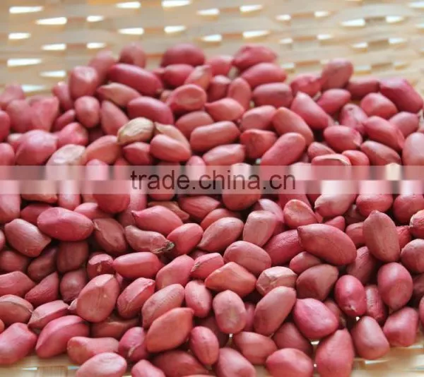 Groundnut Peanut Kernels photo-5