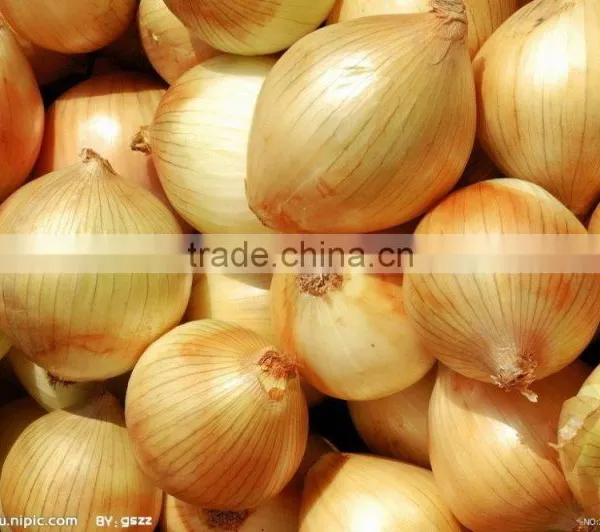 FX-128-3A High Efficiency Hot Sale Onion Peeling Peeler Machine photo-5