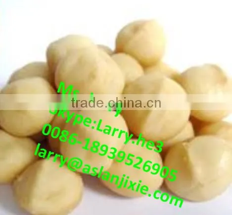 Bauple Nut Opener Machine/bauple Nut Opening Machine/bauple Nut Opener photo-6