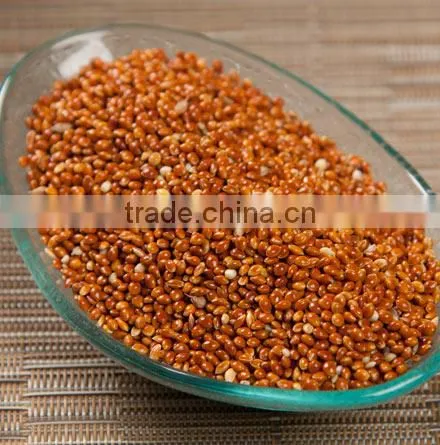 Red Millet photo-2
