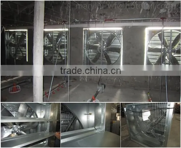 Poultry Feed Manufacturing Equipment for Broilers photo-6