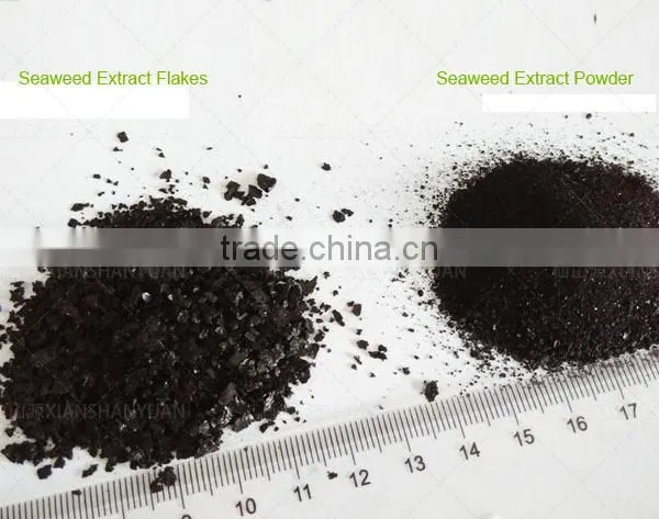 Seaweed Extract Foliar Fertilizer