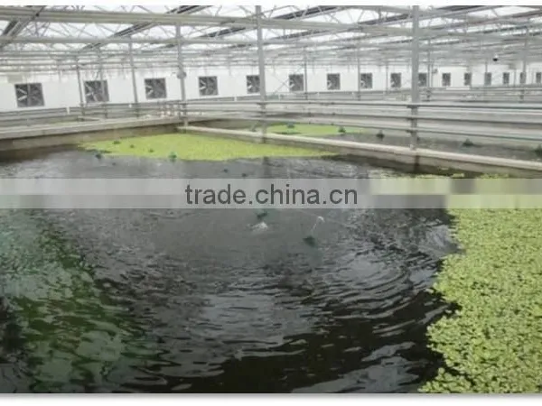 Agriculture Used Commercial Aquaculture Greenhouse photo-2