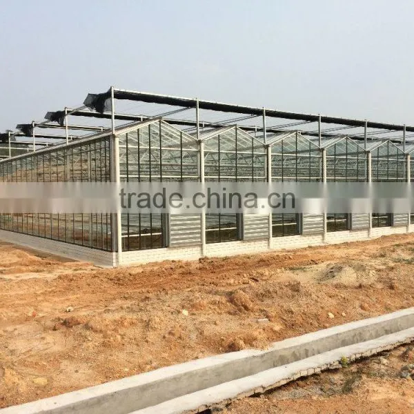 Low Cost Polycarbonate Agricultural Greenhouse photo-2