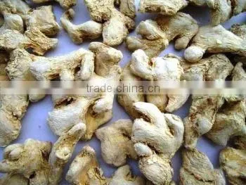 Dried Ginger photo-2