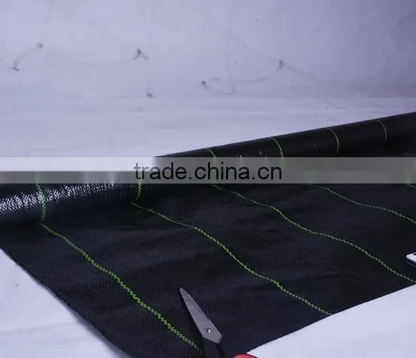 pp Ground Cover Mesh Fabric photo-3