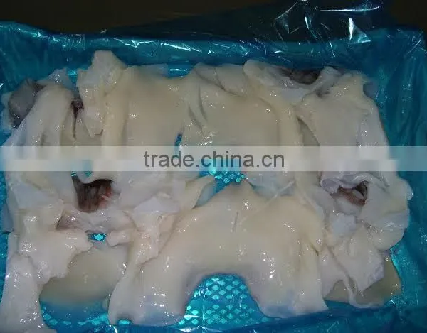 Frozen Giant Squid Raw Necks photo-2