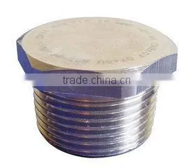 Round Shape and Cap Type Stainless Steel Bull Plug Square Plug Pipe Fitting