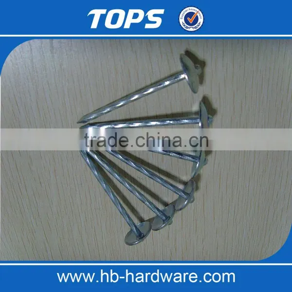 Galvanized Surface Treatment Umbrella Head Roofing Nails photo-5