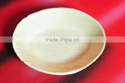 ARECA DISPOSABLE TABLEWARE photo-2