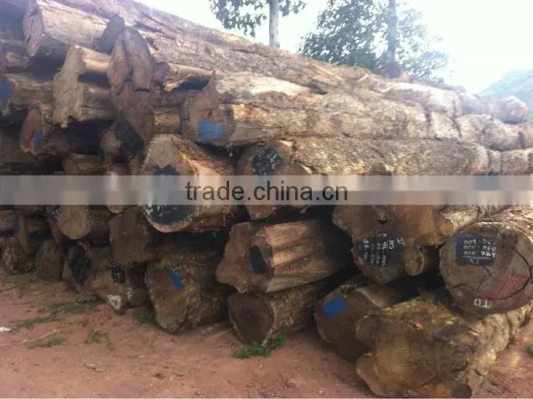 PYINKADO LOGS WITH BEST PRICE FROM LAOS
