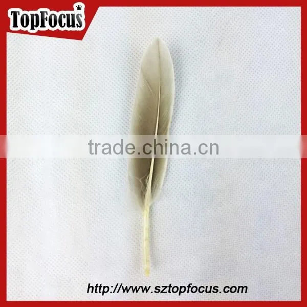 50pcs Home Decorative Dyed Natural Grey Dyed Goose Feathers Sale photo-3