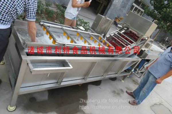 Jujube Cleaning Machine, Jujube Cleaning Line, Jujube Processing Equipment