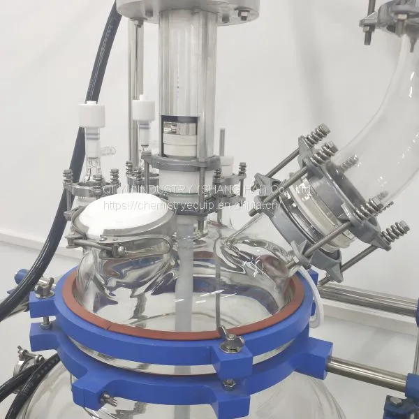Customized Glass Lined Reactor photo-4