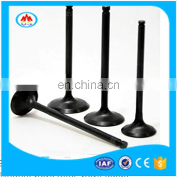 Motorcycle Spare Parts Engine Valve for Bajaj CNG Splendor CT100 Cruz Victor TVS Star photo-3