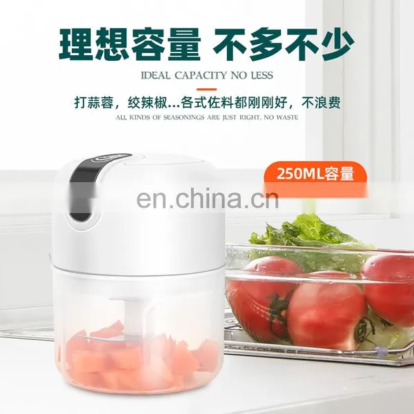 Portable Mini Blender Food Chopper photo-3
